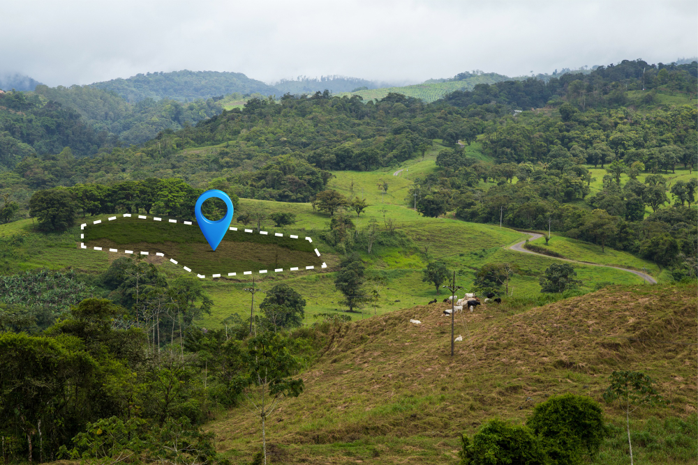 Photogrammétrie, télédétection et LiDAR, Captation 3D